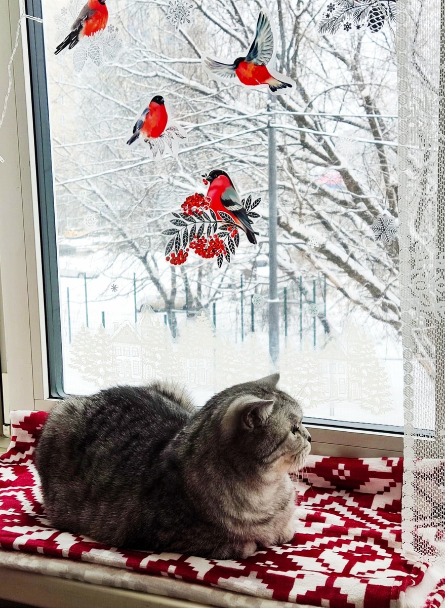 Фото автора 