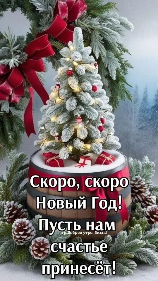 Зимою мир становится добрейИ веселей от праздничных заботПриятно просыпаться в декабреИ знать, что скоро будет Новый год!Украшенная елка и огни,Подарки, стенгазета у окна.И я, как в детстве, подгоняю дни,Чтобы осталась только ночь одна.Хочу за новогодний шумный стол,Хочу салат, "Иронию судьбы",И чтобы Дед Мороз опять пришел,Хочу сюрпризов сказочных, любых...И пусть летит опавшая листва,Но если время праздника пришло,Мы так хотим немного волшебстваИ учимся другим дарить тепло!Под елочкой появятся опятьПодарки, незаметно, как всегда...И будет над игрушками сиятьЖивая, настоящая звезда!И будут свечи на столе гореть,Как знак любви, как будущего код...Приятно просыпаться в декабреИ точно знать, что скоро Новый год!Петр Давыдов