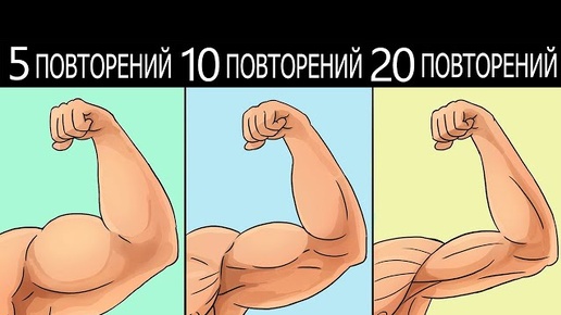 Быстрое обучение программы. Быстрое обучение программы
