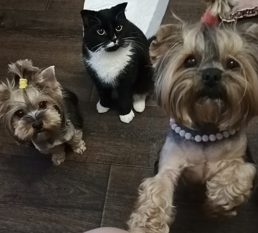 А вот и вся наша веселая компания 💕передает огромный привет 👋