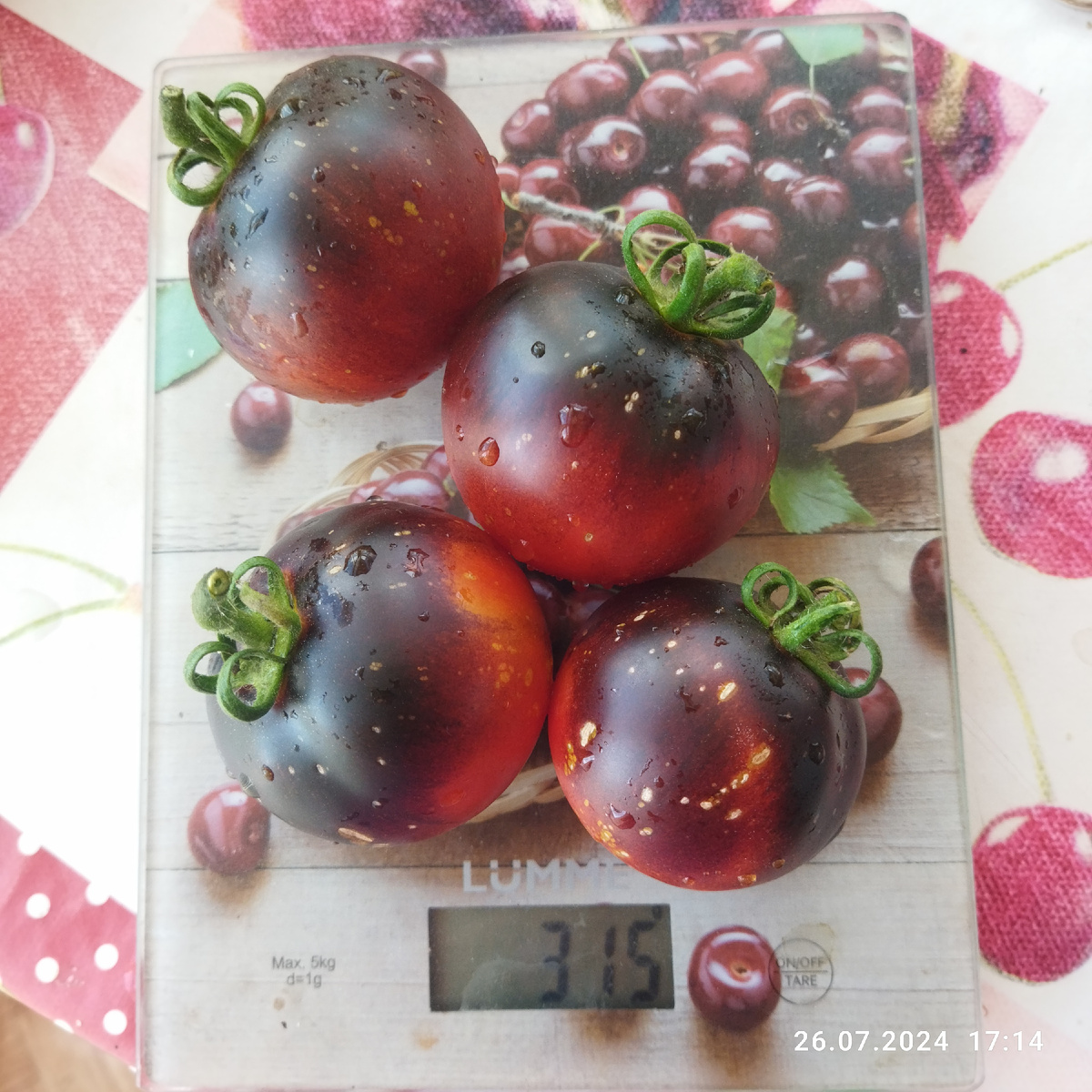 Моё фото 26 июля