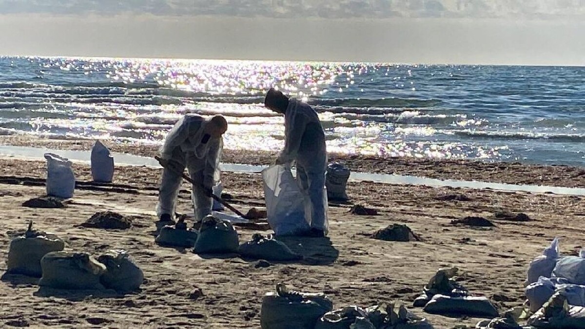    Фото: телеканал «Краснодар»