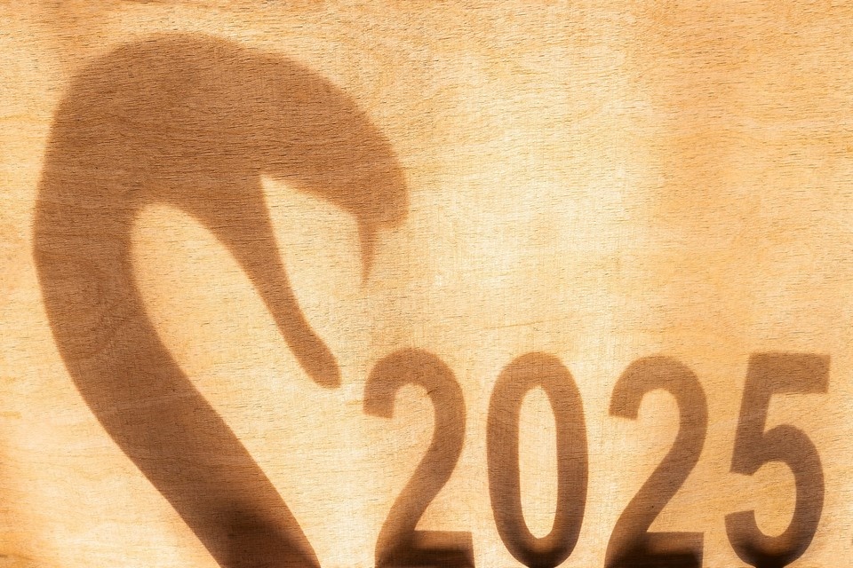    Если оценивать грядущий год по китайскому календарю и 12-летним циклам, то он может быть богат на судьбоносные политические события Shutterstock