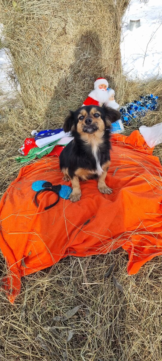 Так то лучше! А то нарядили...