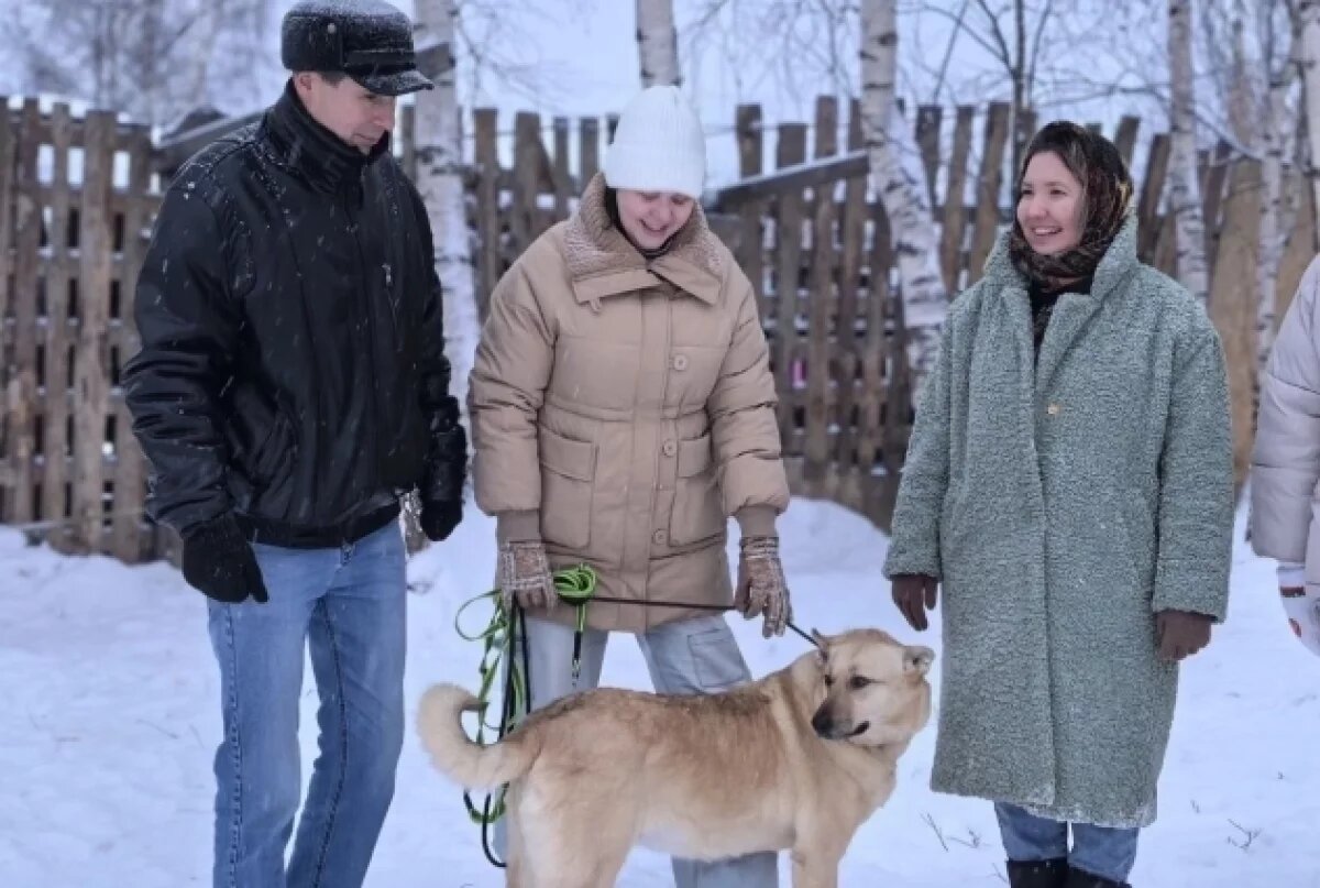    Певец Дима Билан пожертвовал деньги ярославскому приюту
