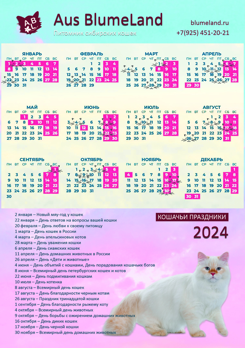 Кошачьи праздники