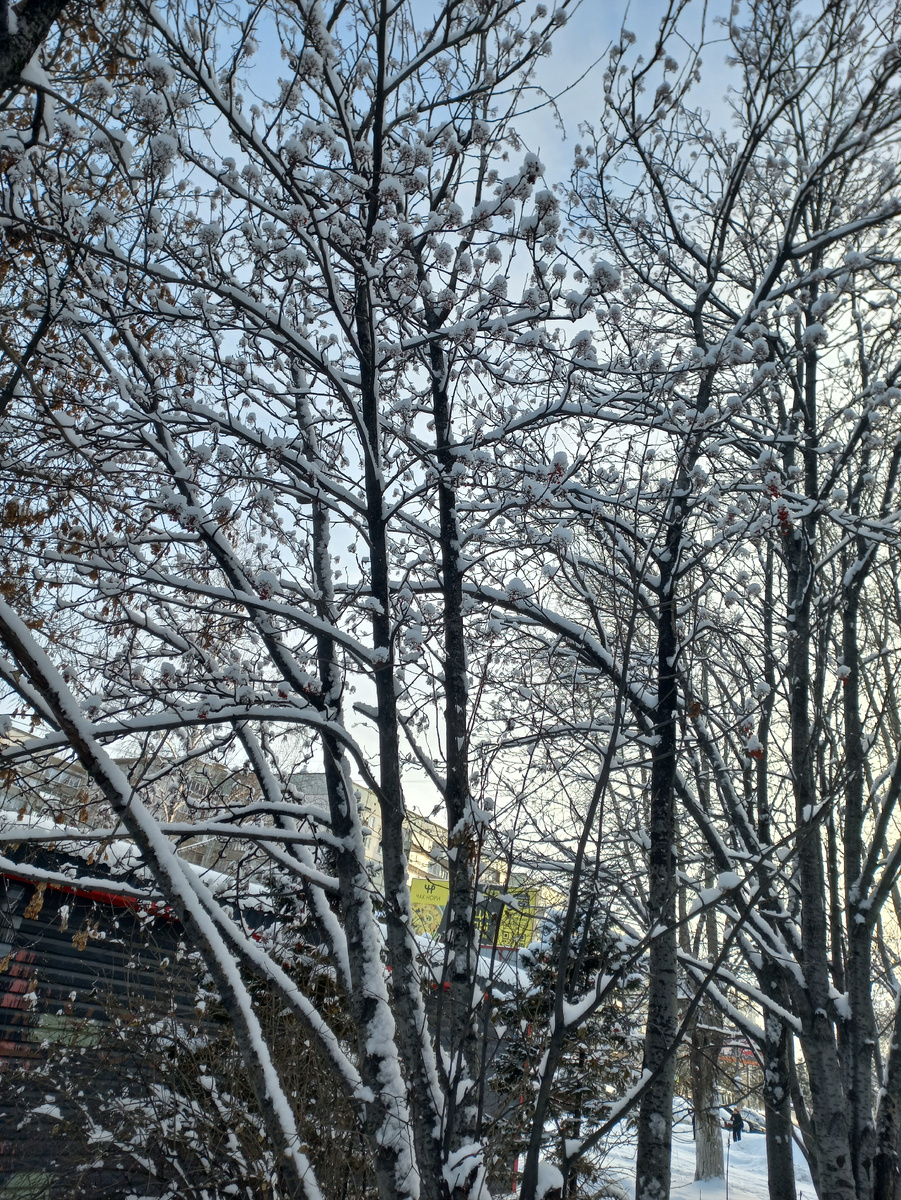 Красивая у нас природа