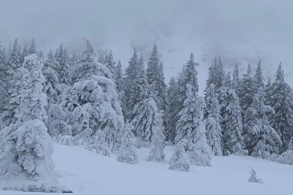    На Уреньге спасли от замерзания пару горожан в летних кроссовках