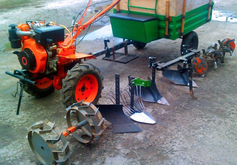 фото источник интернет