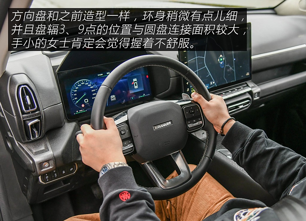 К информационному обеспечению и элементам управления претензии отсутствуют, но толщину обода руля некоторые владельцы хотели бы побольше