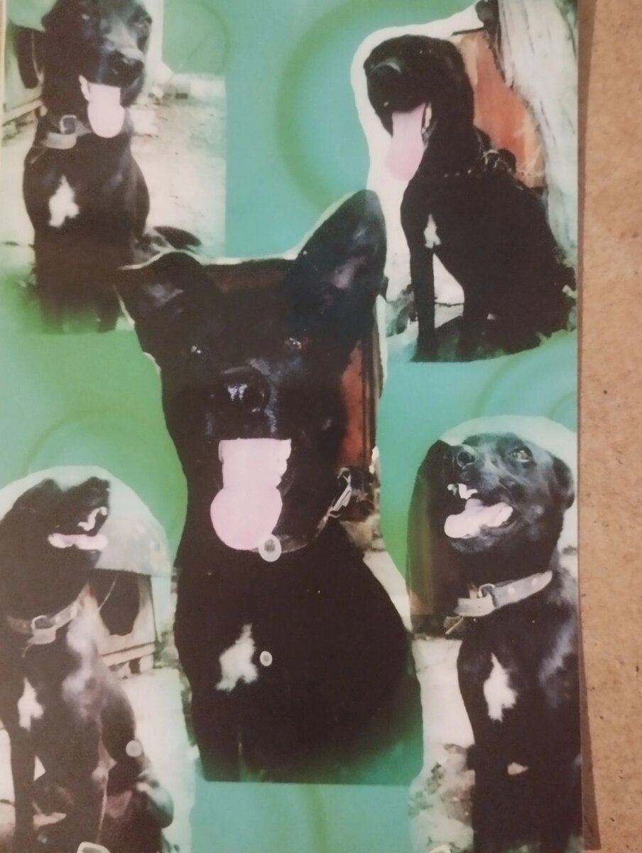    Фото: Из личного архивa/ Анастасия Вилкова