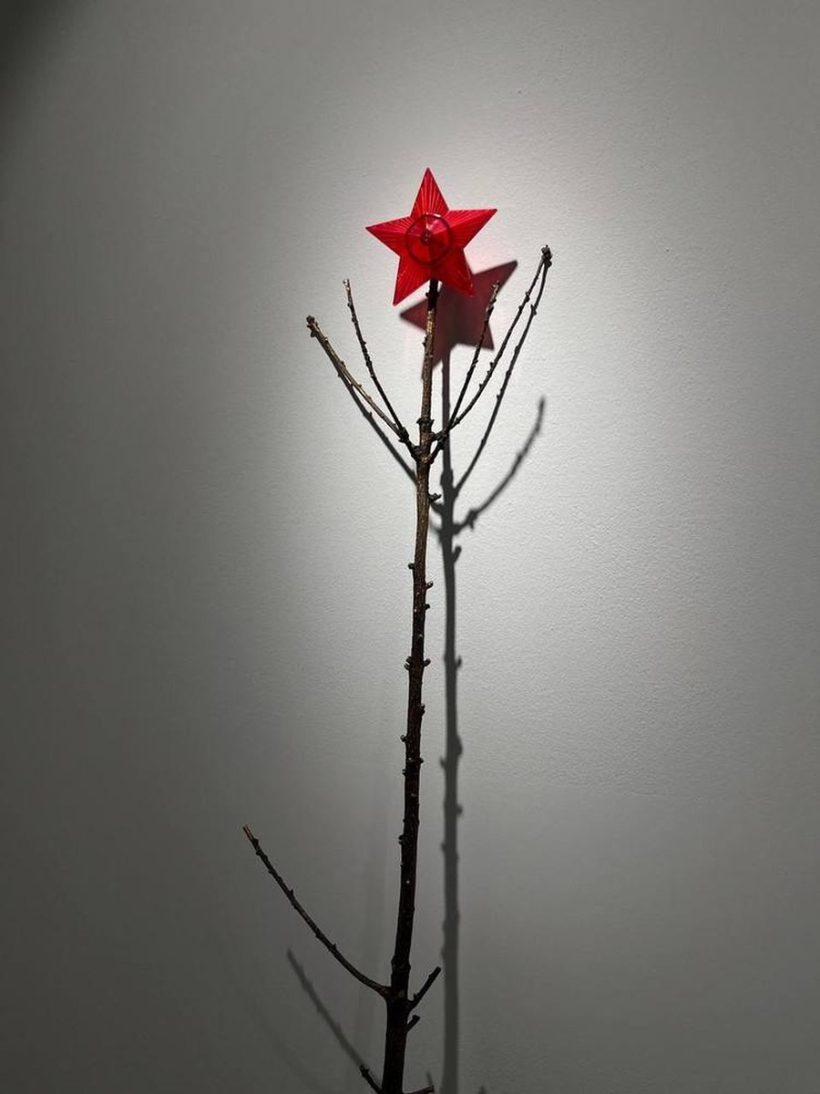    Самая необычная елка у Ксении Собчак. Фото: Фото: t.me/szenagallery