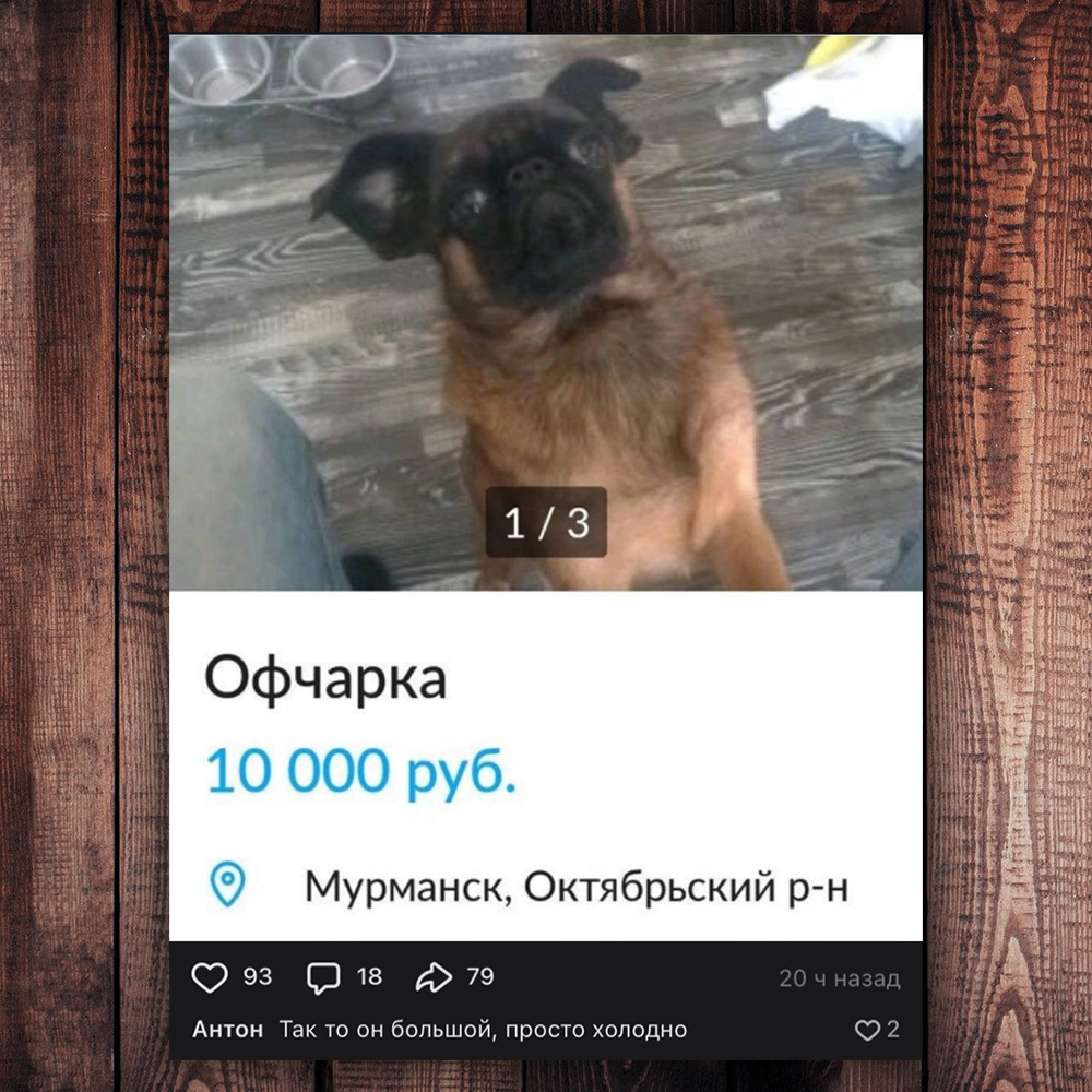 Немножко юмора =) (фото с просторов интернета)