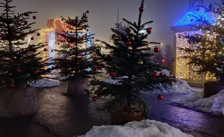    фото Курские известия