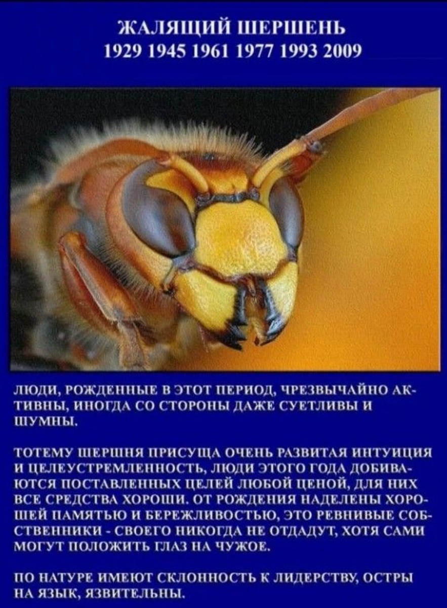 Картинка из открытых источников.