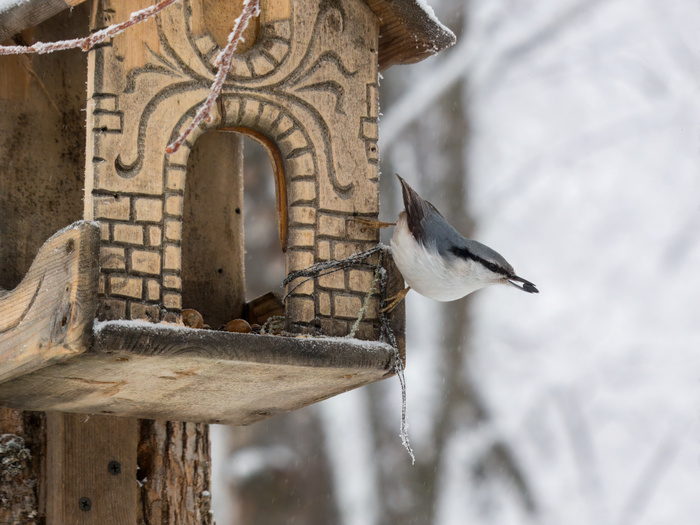 Листайте вправо, чтобы увидеть больше изображений