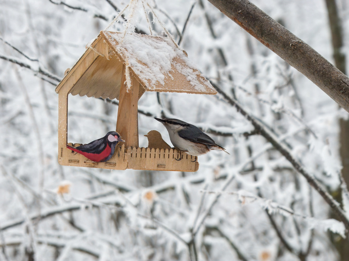 Листайте вправо, чтобы увидеть больше изображений