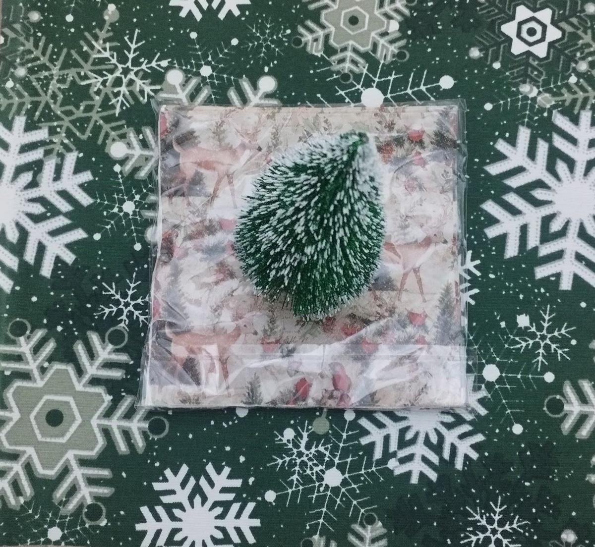 Фото из личного архива