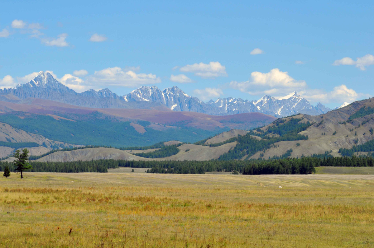 Фото Ольга Шадрина