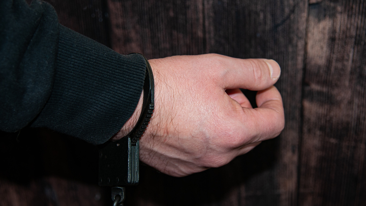 Фото: Svetlana Vozmilova/Global Look Press