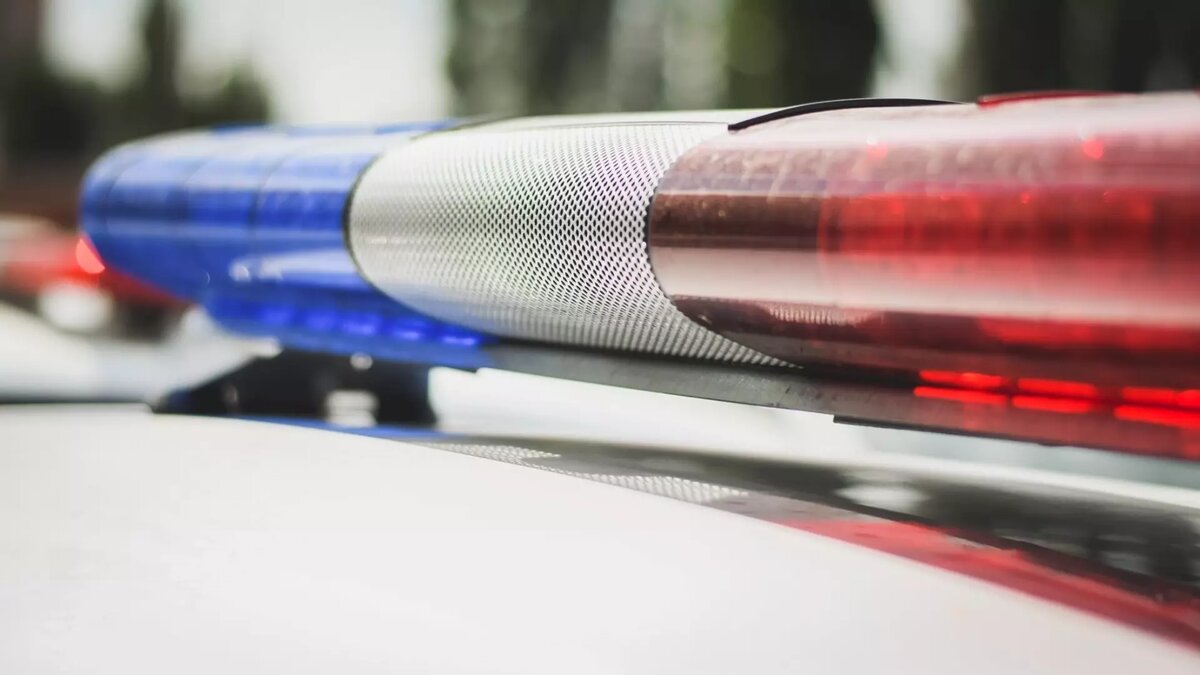     Источник: novostivolgograda.ru