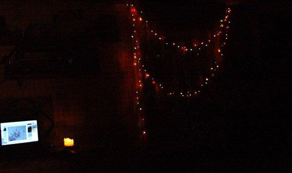 елка ночного виденья