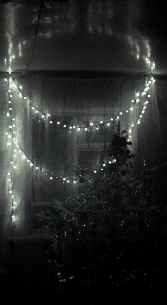 такая красота из ничего