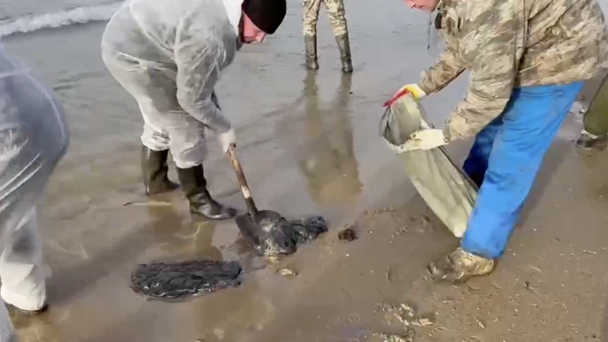    Фото: Оперативный штаб Краснодарского края