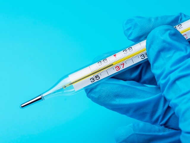    Фото: 123RF/grigoriy123