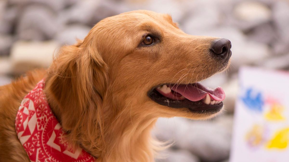 Фото brands people/unsplash