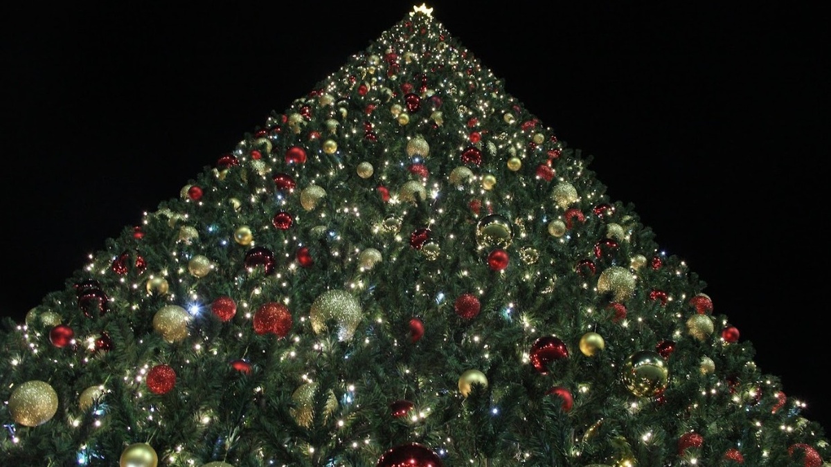     Источник: vostokmedia.com