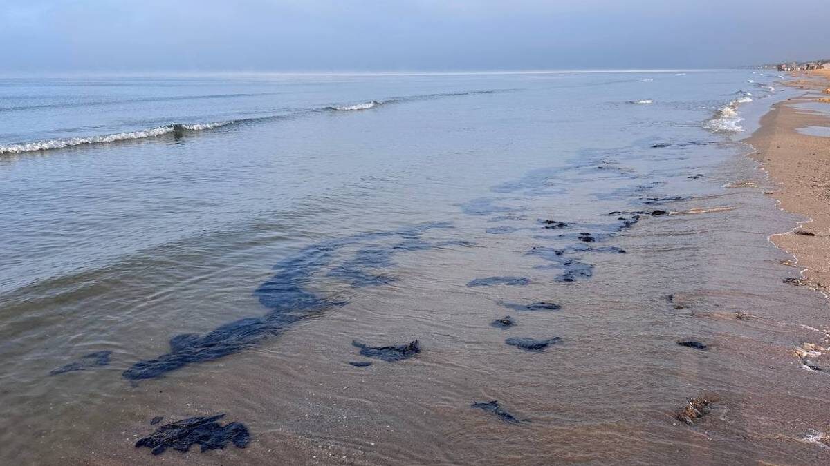    Фото: Пресс-служба оперативного штаба Краснодарского края