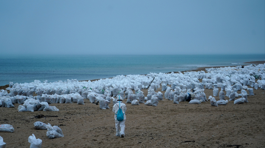    Фото: ИЗВЕСТИЯ/Павел Волков