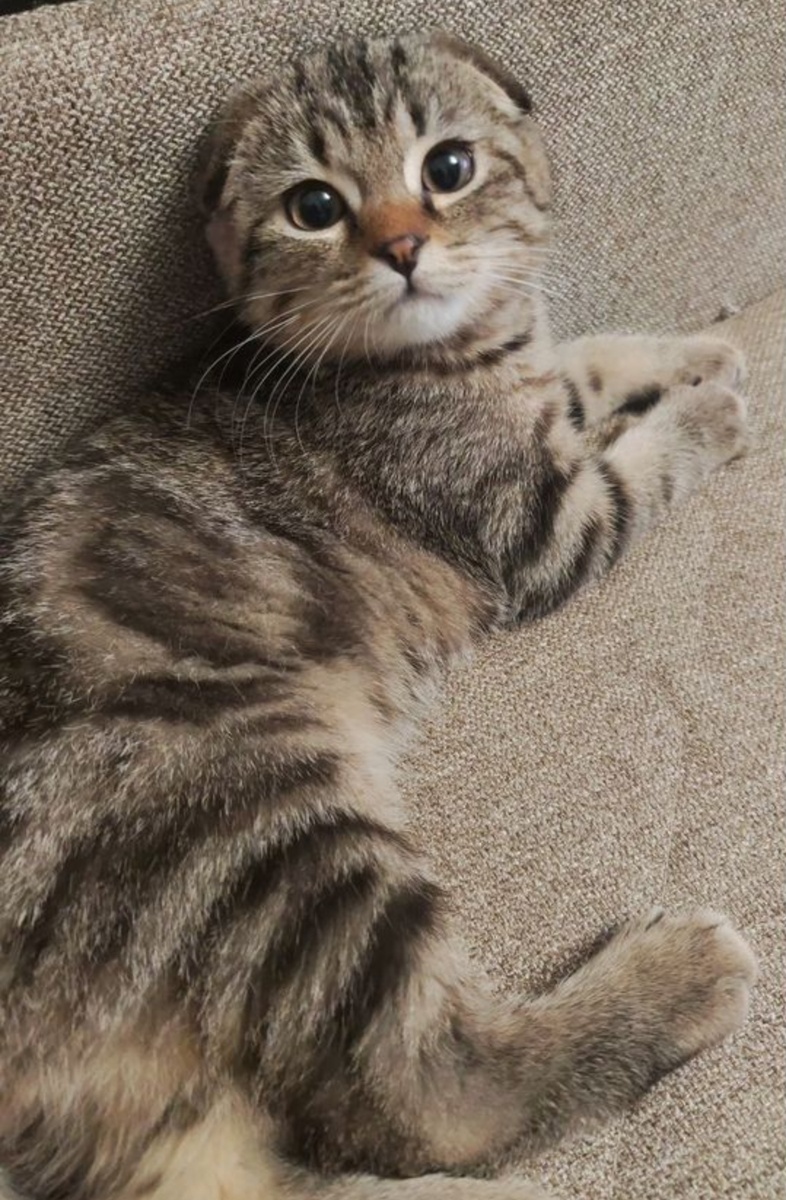 Тот самый. Наш