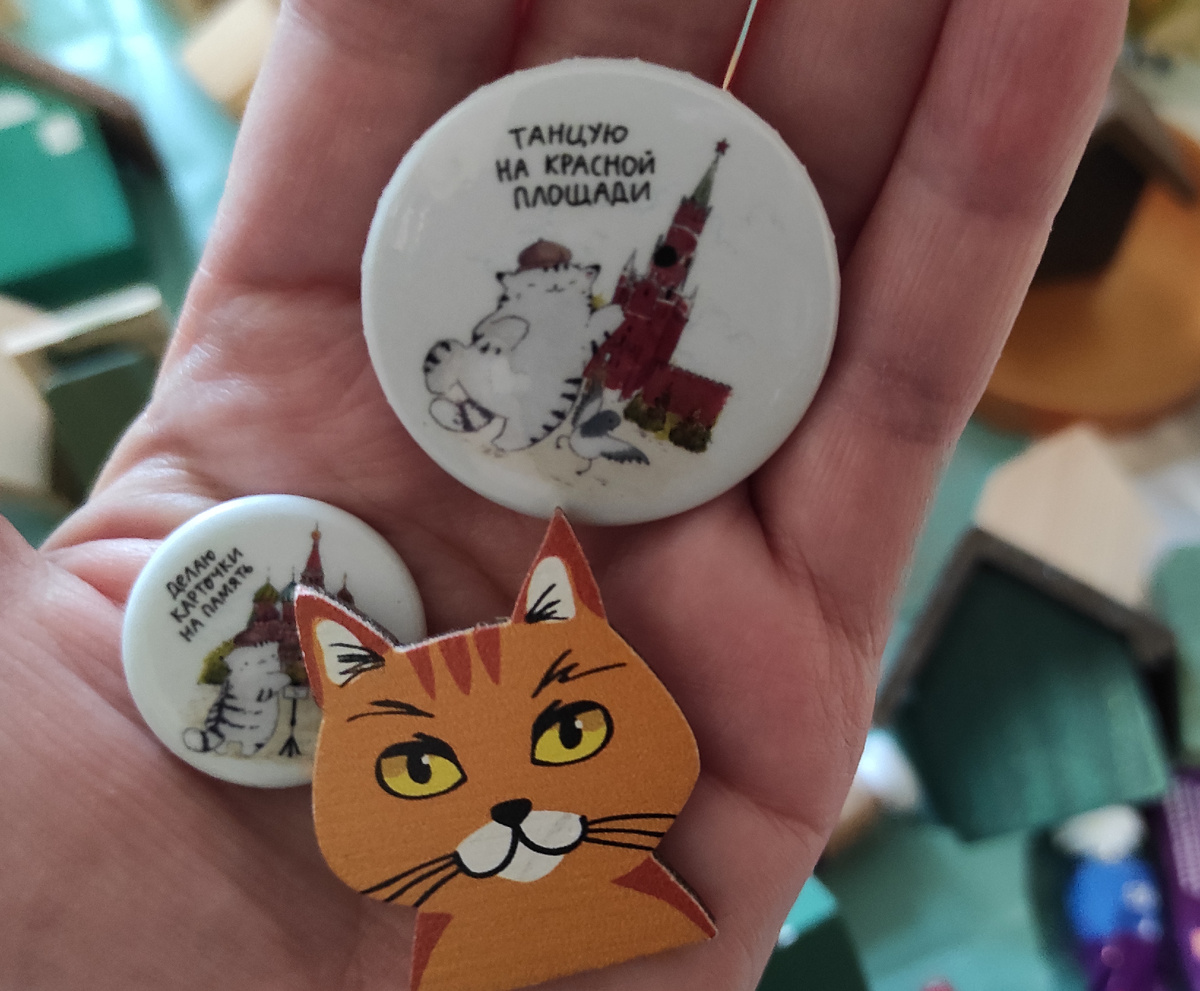 Котики повсюду 