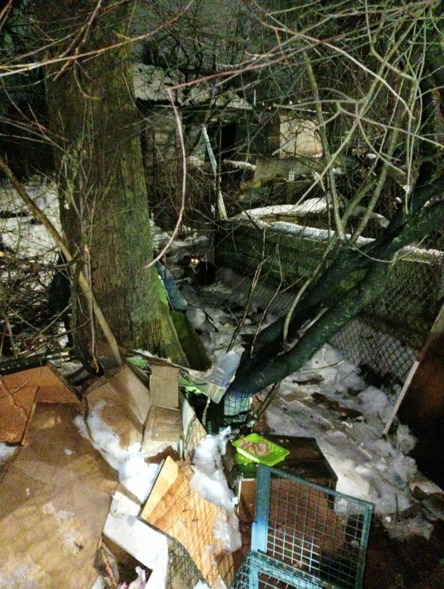 Фото автора. Вот так и жила в заброшеных бараках.