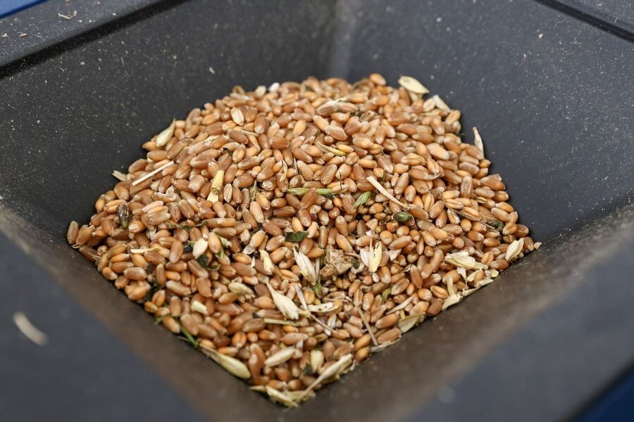     / Источник: © Александр Рюмин/ТАСС