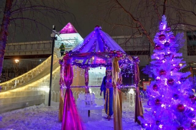    Фото: МК в Новосибирске/ корреспондент издания