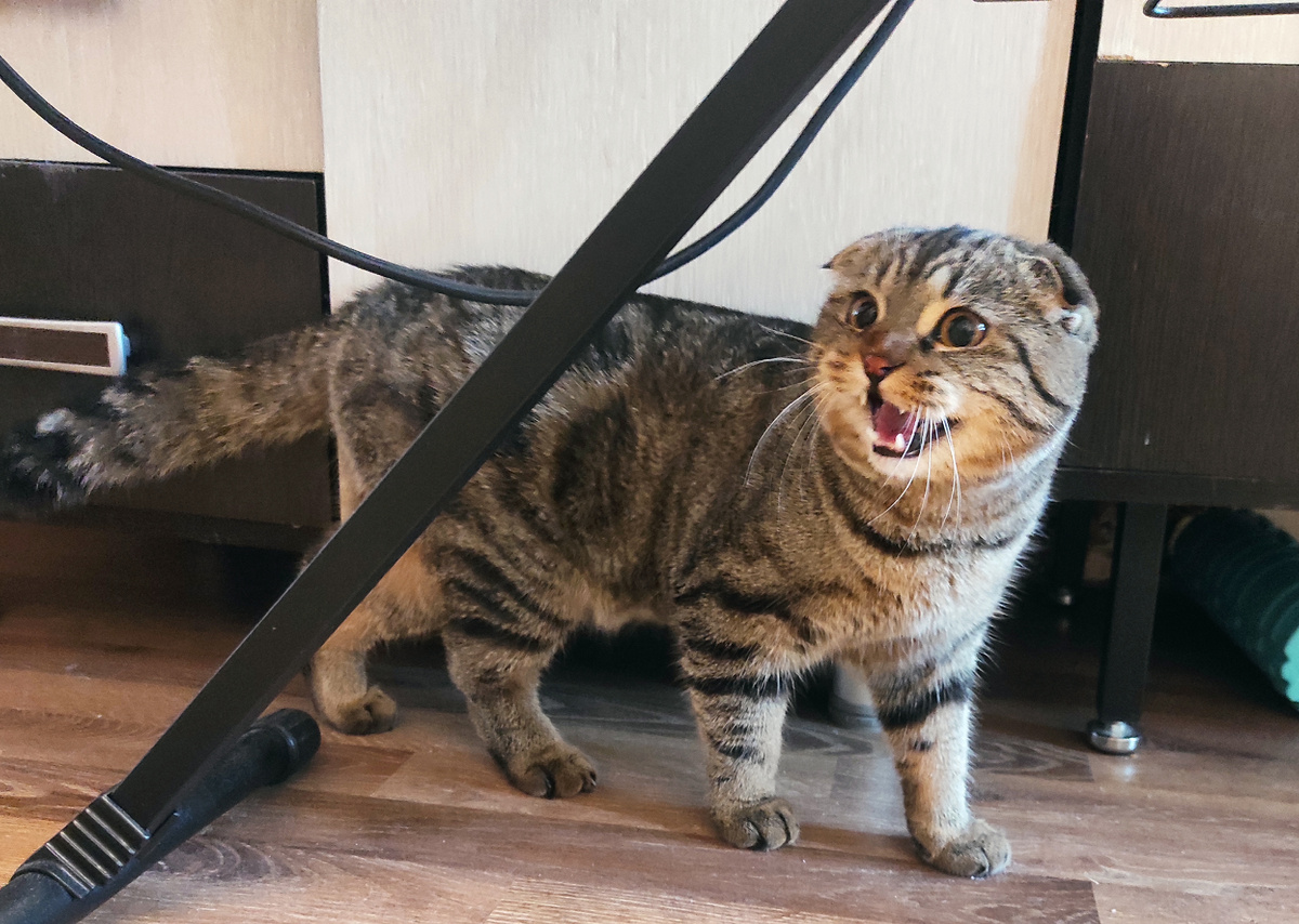 День первый