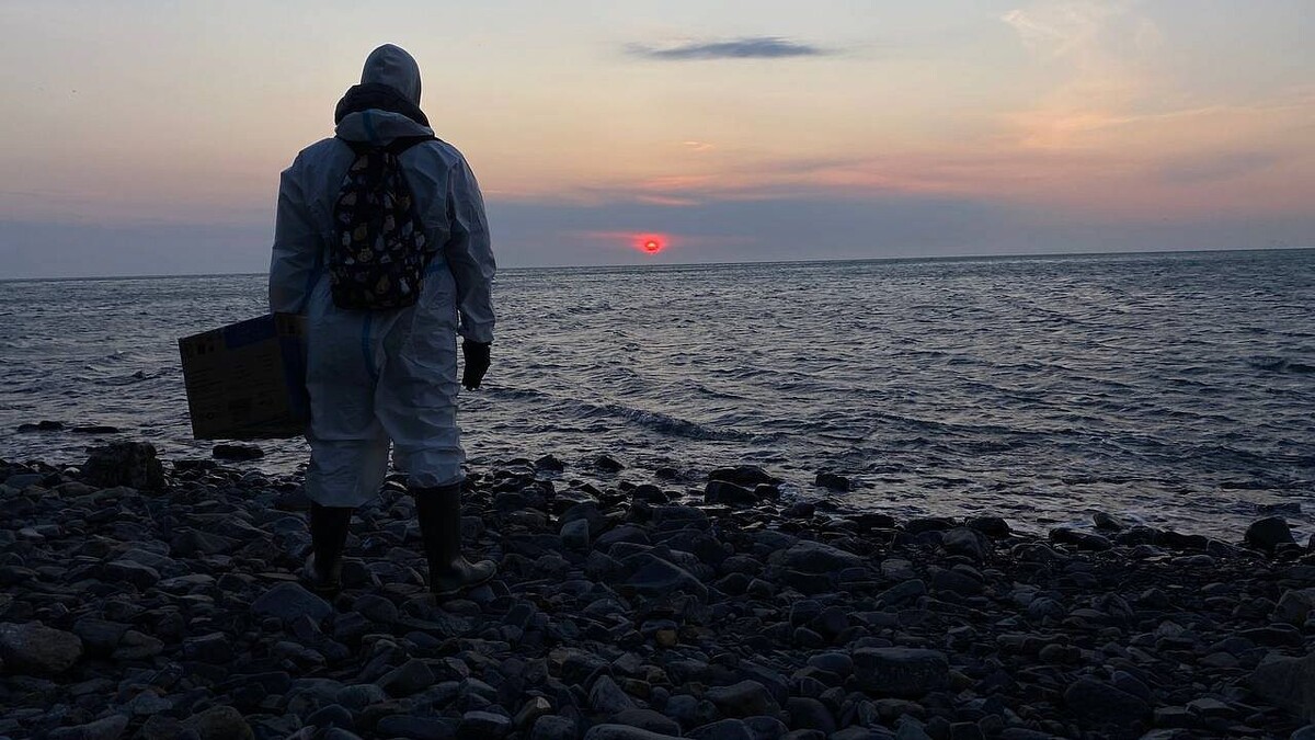    Фото: телеканал «Краснодар»