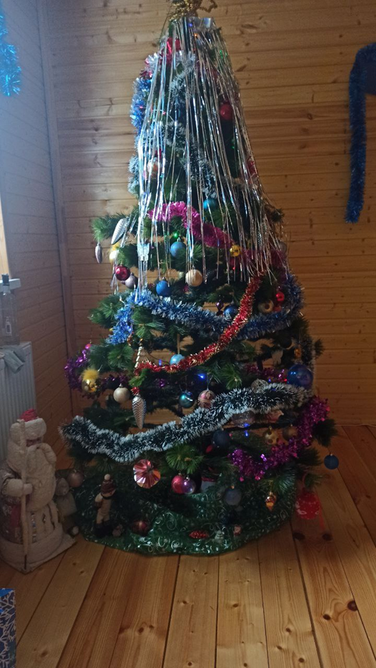Вот такая елочка, здесь она в нашем доме. Пенсионерка. Прошлогоднее фото из личного архива