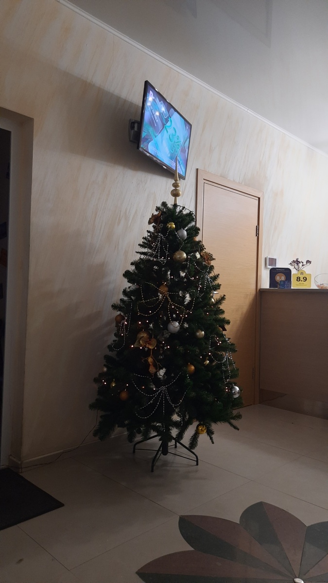 На ресепшн ёлочка нарядная