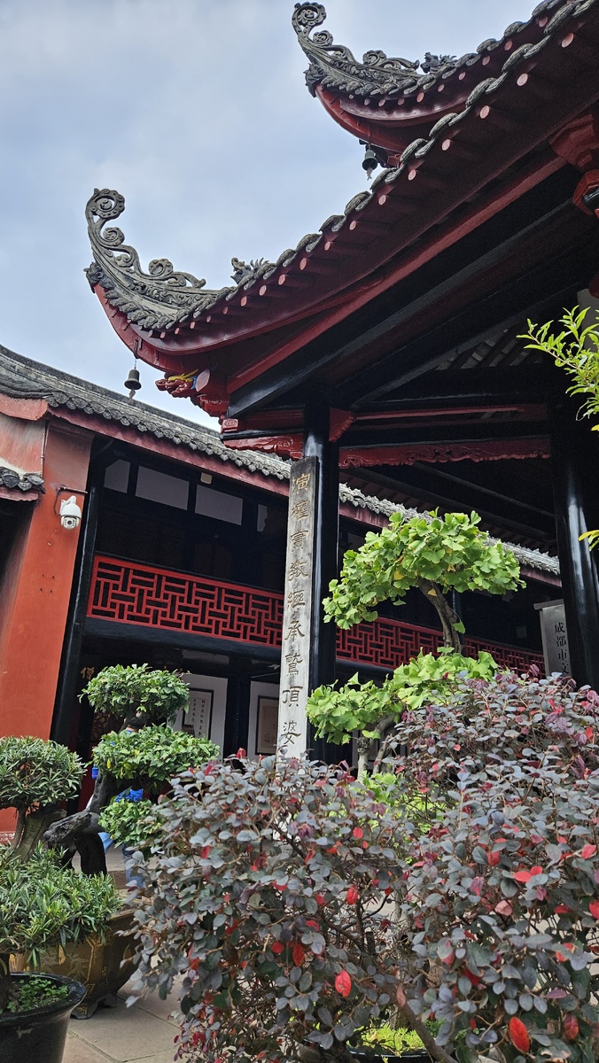 Прогулка по г. Чэнду во время транзита