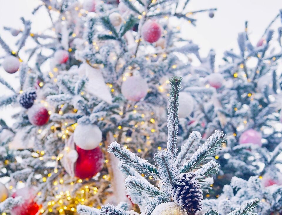    Зима. Новый год. Погода.. Источник: pexels.com