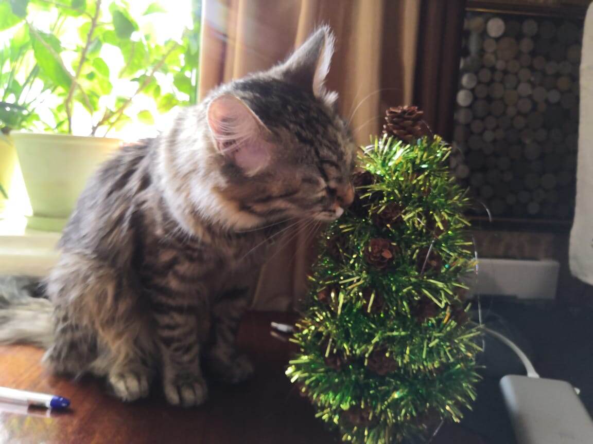 Как вариант, можно такую ёлочку с собой носить, чтобы не уничтожили.