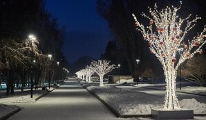 Где-то на просторах Новосибирска. Фотография автора, декабрь 2024 года. 