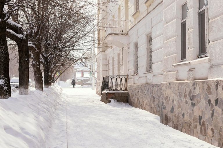    Фото: freepik.com/freepik Илья Федоров