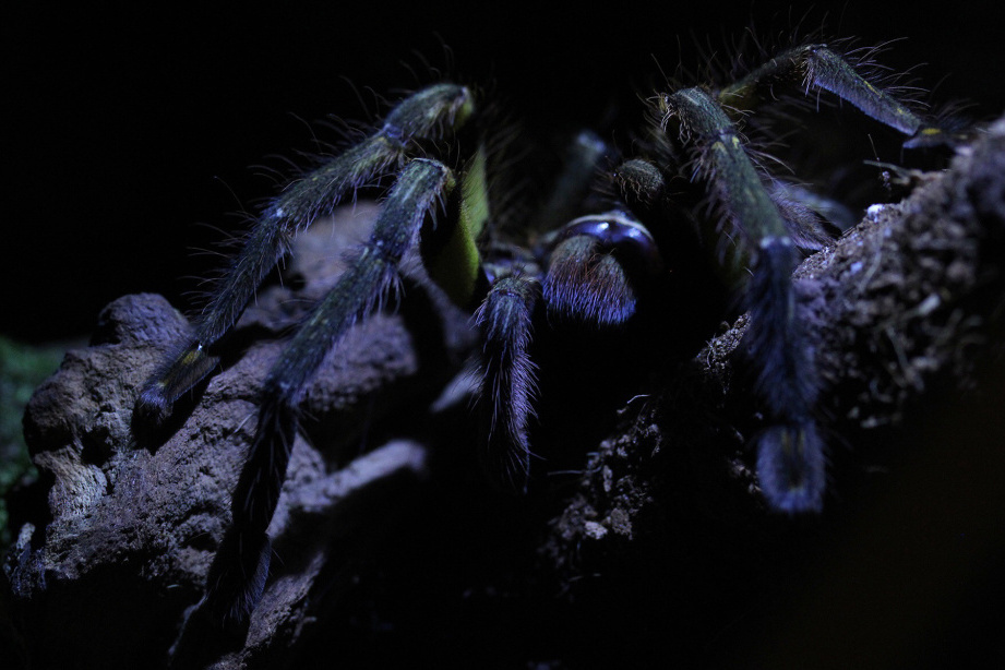 Фото: личный архив Дениса Рыбакова