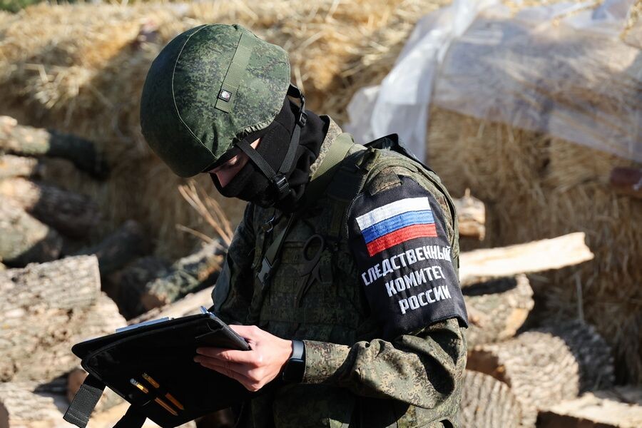     / Источник: © Александр Полегенько/ТАСС