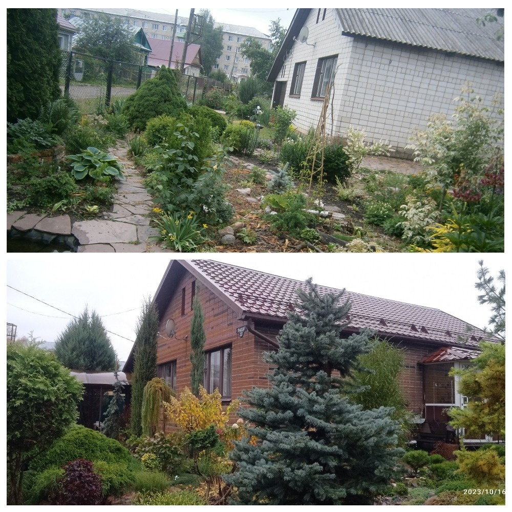 коллаж автора